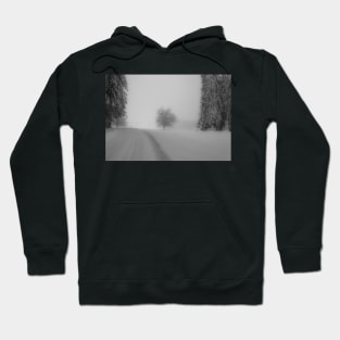 Snow scene Hoodie